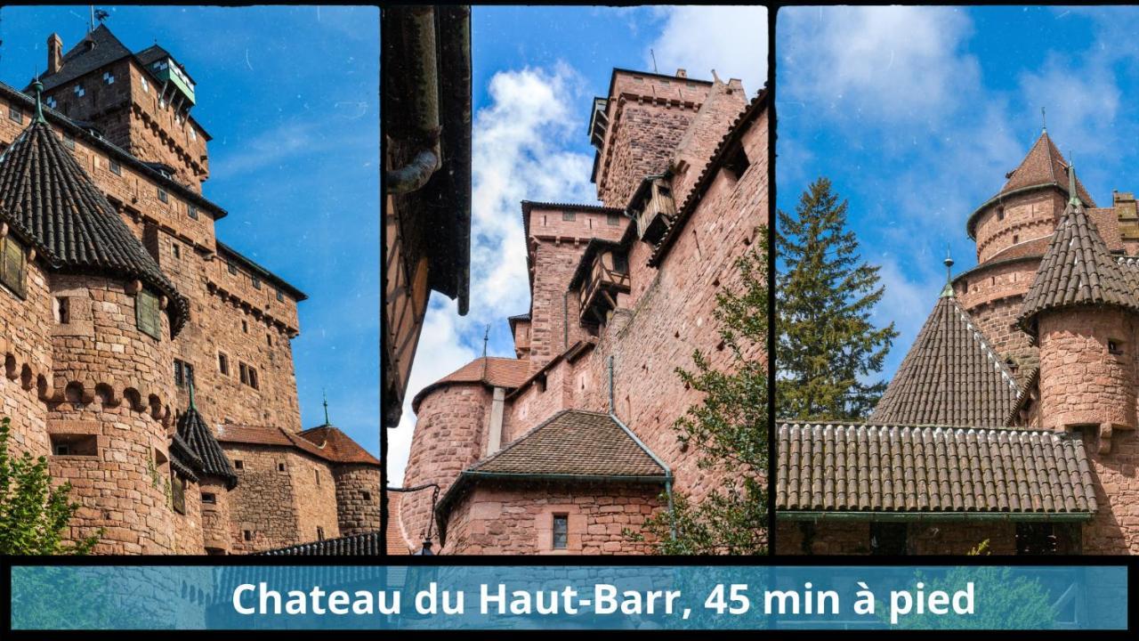 Apartamento Centre - L'Imperial - Parking Saverne Exterior foto